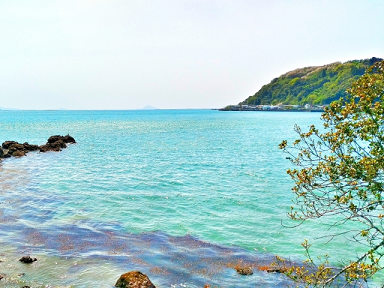 運転免許合宿 高知,合宿免許,予約,最短,格安