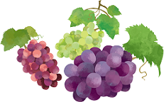 運転免許合宿 岡山,合宿免許,予約,最短,格安