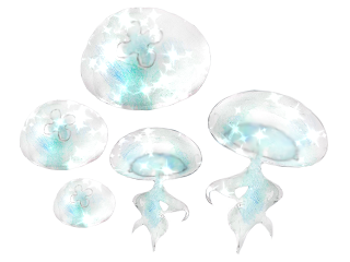 �^�]�Ƌ����h �{��,���h�Ƌ�,�\��,�ŒZ,�i��