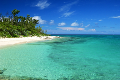 �^�]�Ƌ����h����,���h�Ƌ�,�\��,�ŒZ,�i��