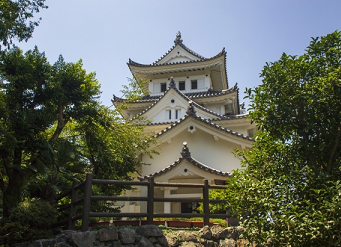 運転免許合宿 岐阜,合宿免許,予約,最短,格安