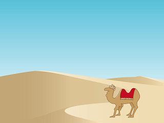 運転免許合宿 鳥取,合宿免許,予約,最短,格安