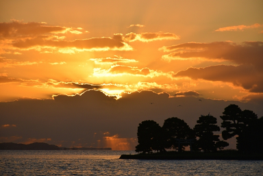 運転免許合宿 山口,合宿免許,予約,最短,格安