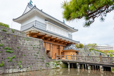 運転免許合宿 鹿児島,合宿免許,予約,最短,格安