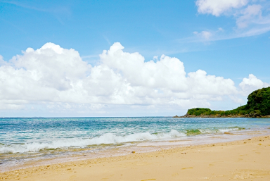 �^�]�Ƌ����h����,���h�Ƌ�,�\��,�ŒZ,�i��