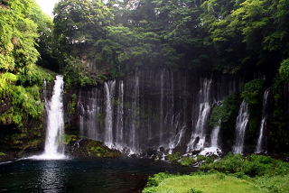 運転免許合宿 山梨,合宿免許,予約,最短,格安