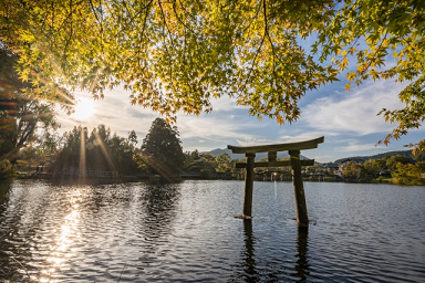 運転免許合宿 大分,合宿免許,予約,最短,格安