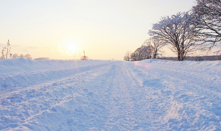 運転免許合宿 秋田,合宿免許,予約